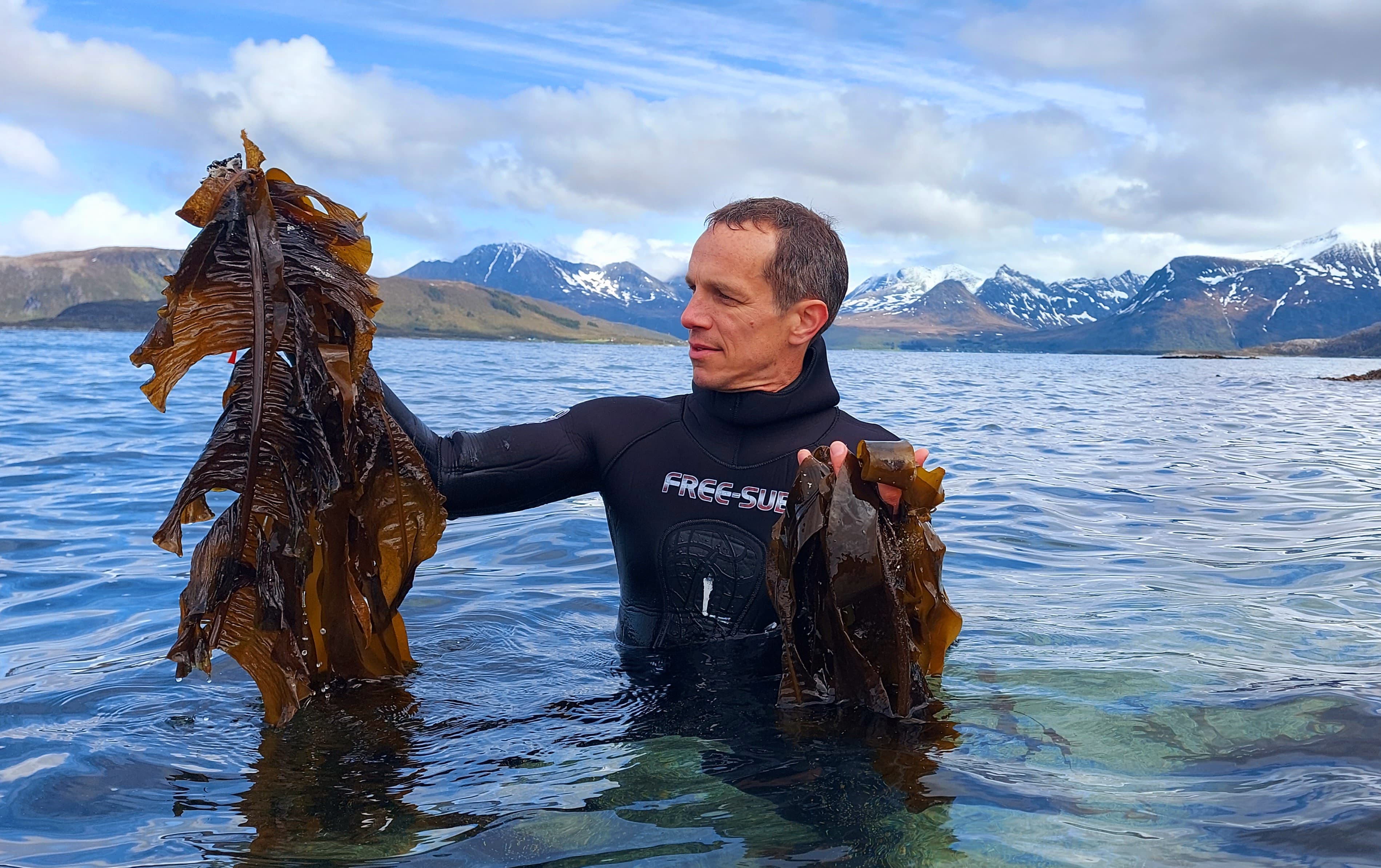 Man in water holding seaweed