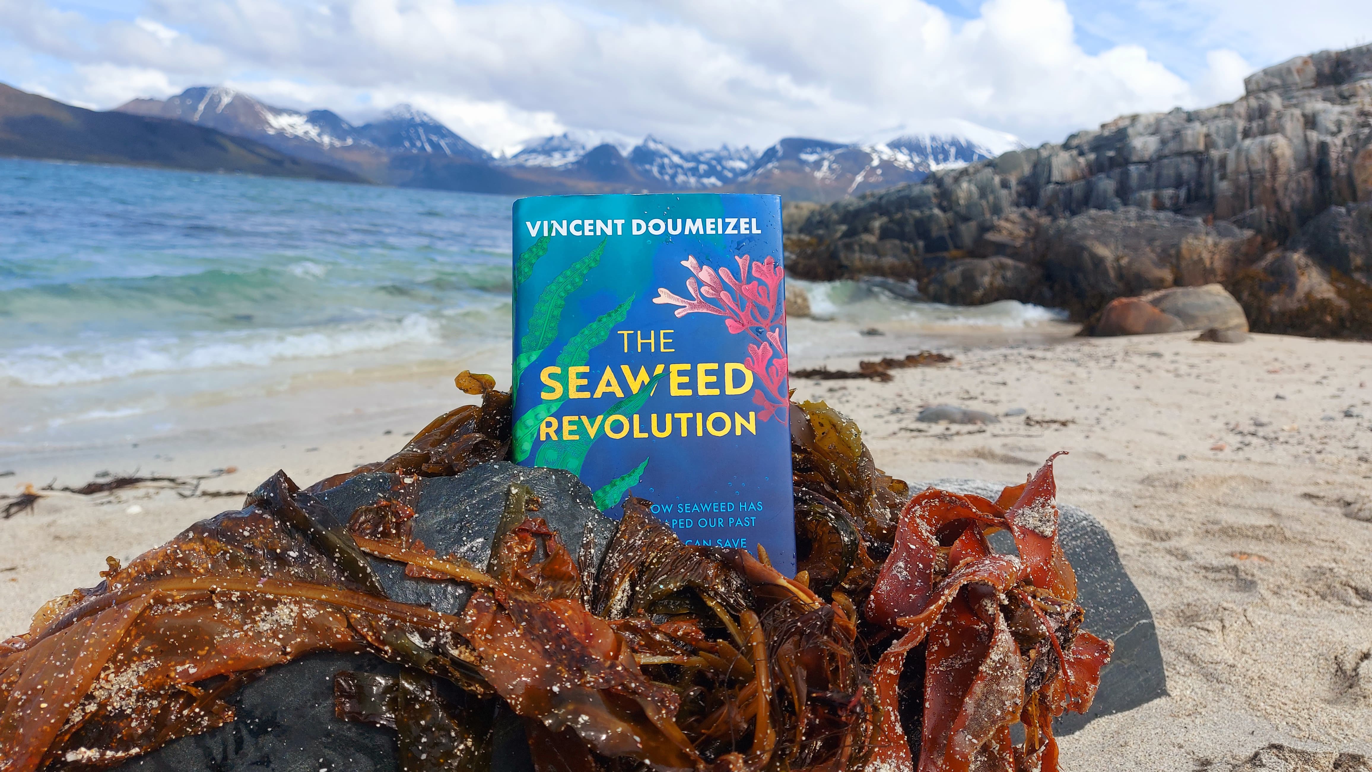 novel sat on top of a pile of seaweed