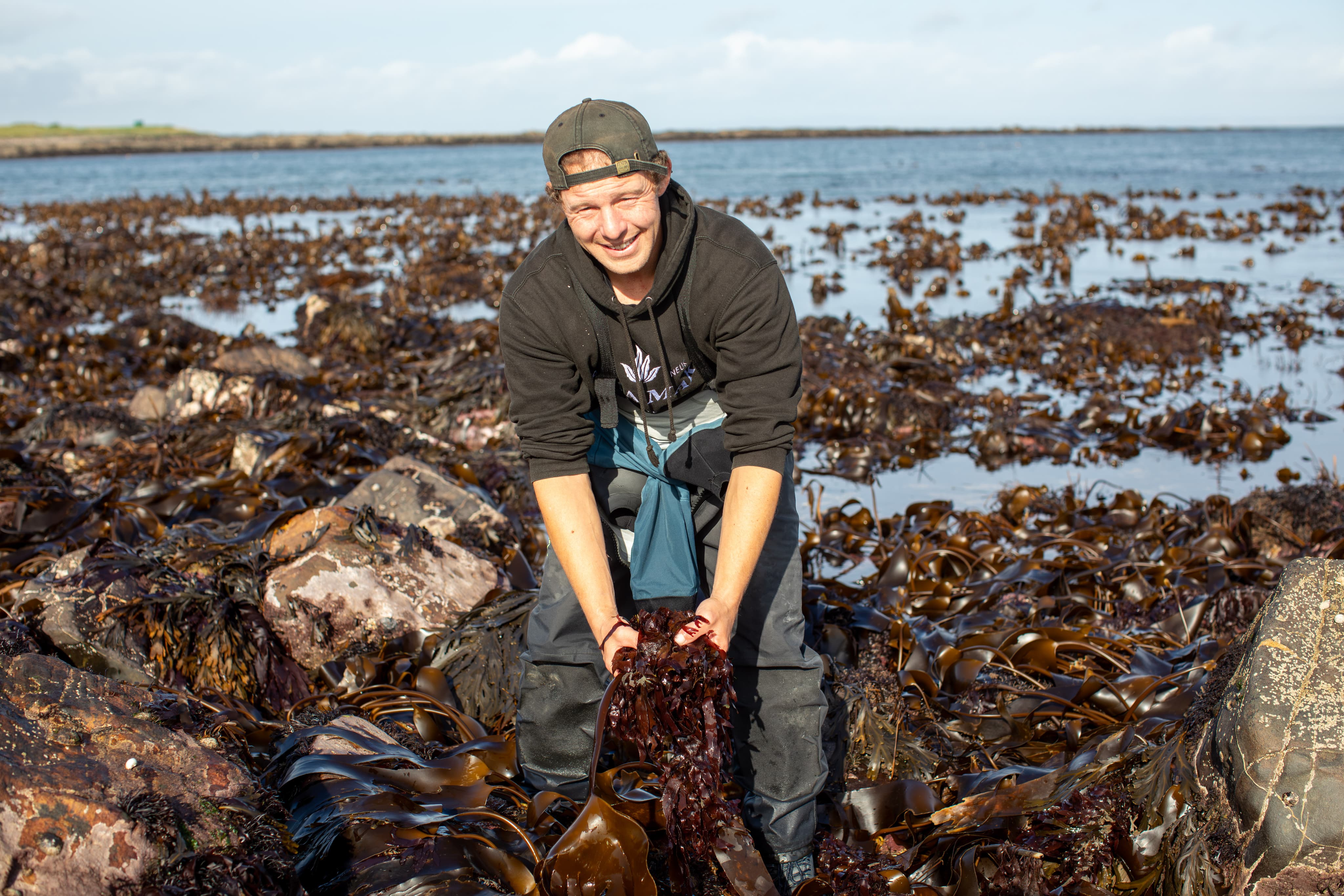 Man holding up fresh wet seaweed from the sea