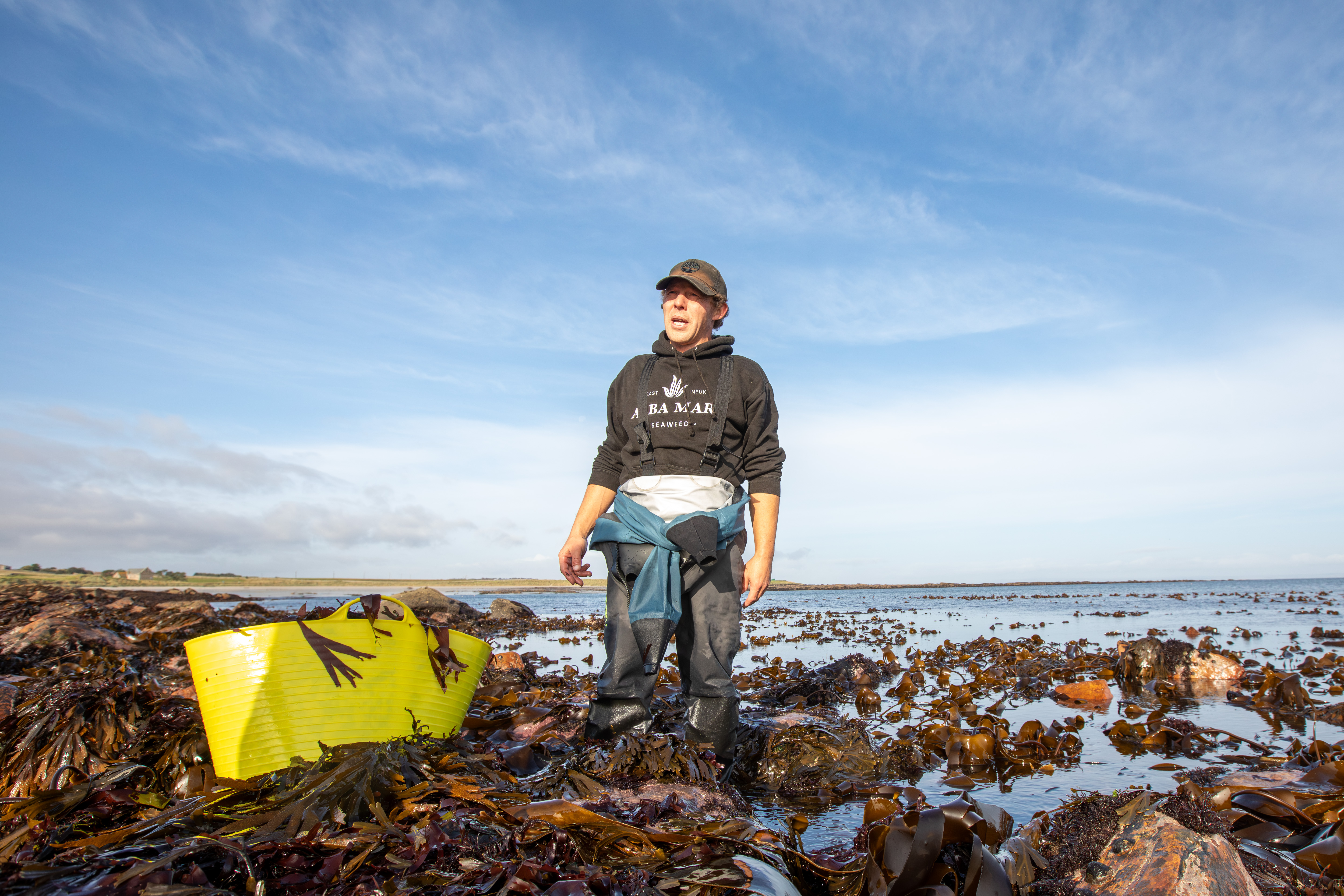 Wild Harvesting Seaweed with Alba Mari